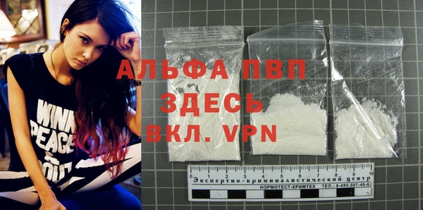 спиды Покачи