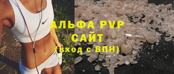 спиды Покачи
