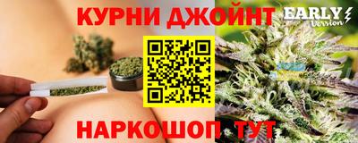 гидра Будённовск