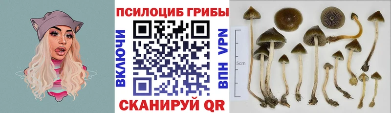 Галлюциногенные грибы мицелий  Вольск 
