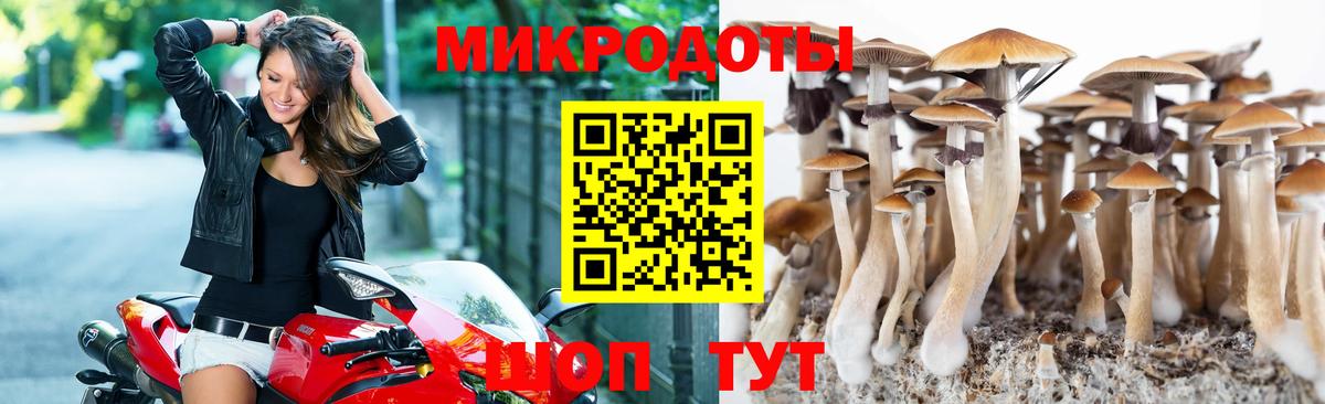 Галлюциногенные грибы мицелий  Вход с VPN  Галлюциногенные грибы мицелий  закладка  Вольск 