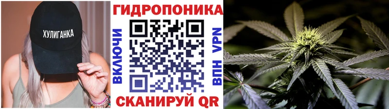 Бошки Шишки OG Kush  Вольск 
