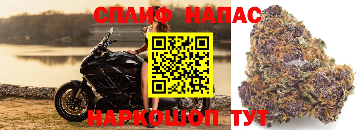 Каннабис гибрид  Бошки Шишки марихуана  Бошки Шишки сатива  Бошки Шишки план  Вход с VPN  Вольск 
